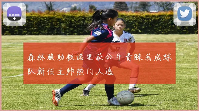 森林狼助教诺里获公牛青睐或成球队新任主帅热门人选